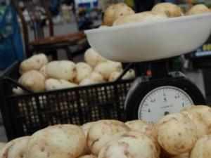 Comparative analysis of potato yields in Russia and in the world