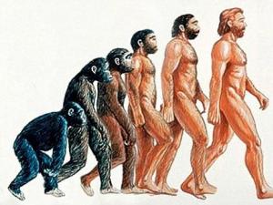 De viktigaste teorierna om mänskligt ursprung